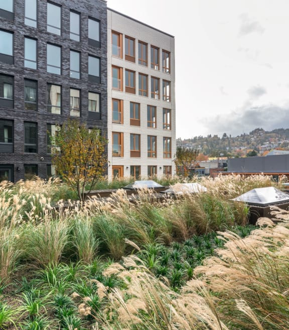LL Hawkins Exterior and Courtyard