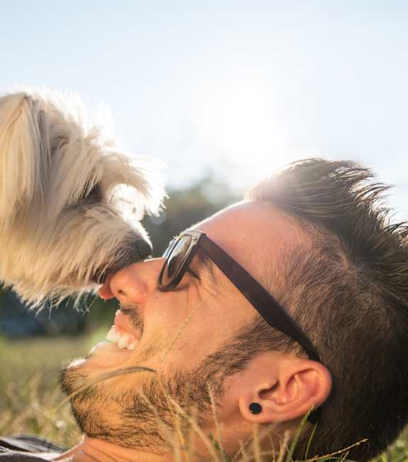 A dog licks a man's face.
