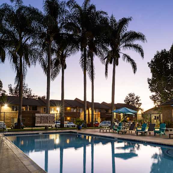 A swimming pool surrounded by palm trees and lounge chairs.