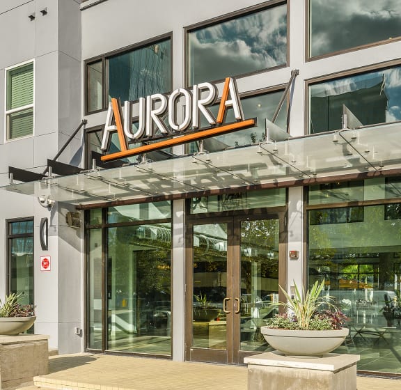 Aurora Luxury Apartments in Downtown Tampa FL