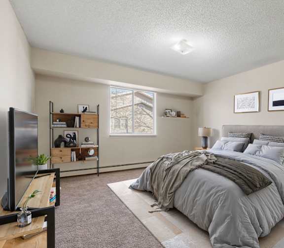 Bedroom with Plush Carpeting