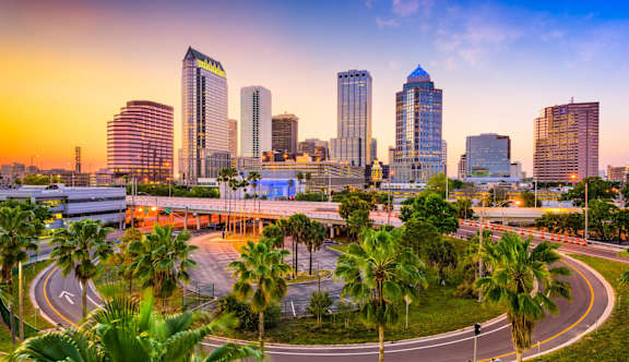A cityscape with palm trees and a sunset in the background at The Legacy Apartments in Seminole Heights, FL