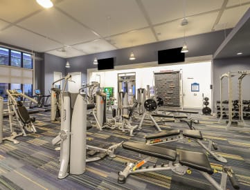 our state of the art gym is equipped with free weights and cardio equipment