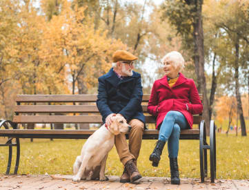 Couple Sitting on Bench Smiling and Petting Dog
