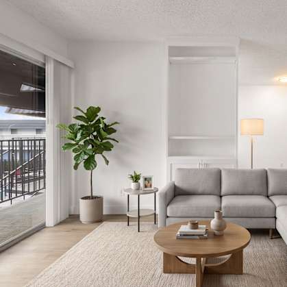A living room with a grey sofa, a wooden table, and a potted plant.