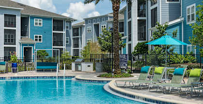 A swimming pool surrounded by lounge chairs and a palm tree.