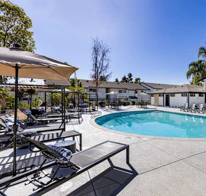 Waterleaf Apartment Homes in Vista, California Pool with Lounge Chairs