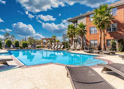 A large swimming pool surrounded by lounge chairs and palm trees.