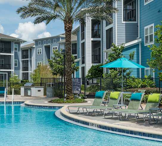 A swimming pool surrounded by lounge chairs and a palm tree.