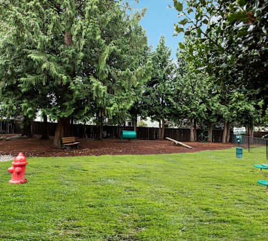 A red fire hydrant sits on a green lawn.