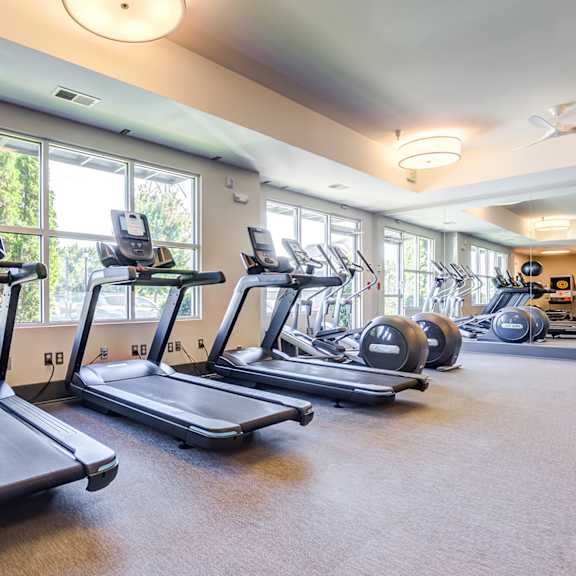 A gym with treadmills and elliptical machines.