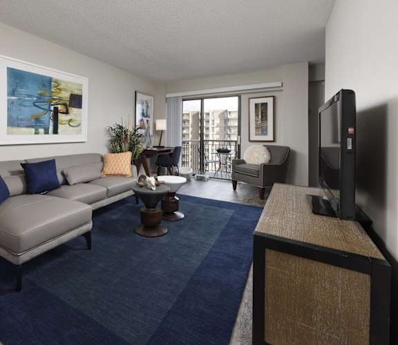 a living room with a gray couch and a blue rug