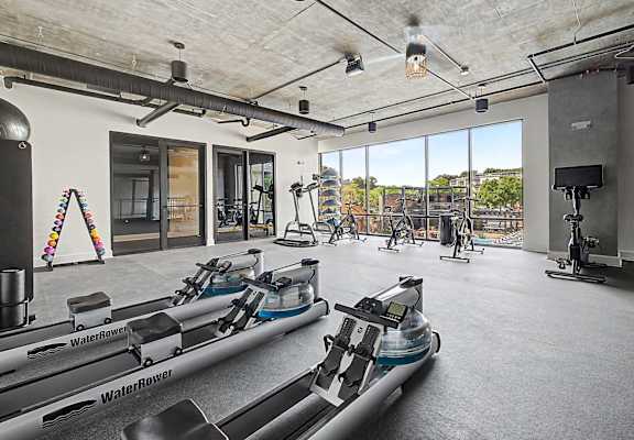 A gym with a row of rowing machines.