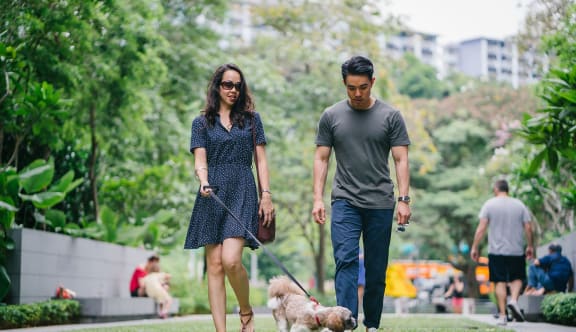 couple walking dog