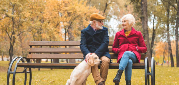 Couple Sitting on Bench Smiling and Petting Dog