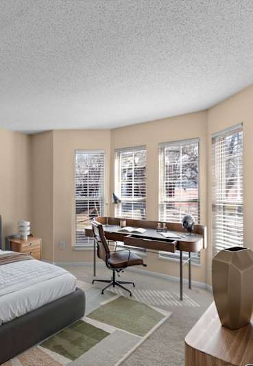 Carpeted Living Room with Light Grey Walls