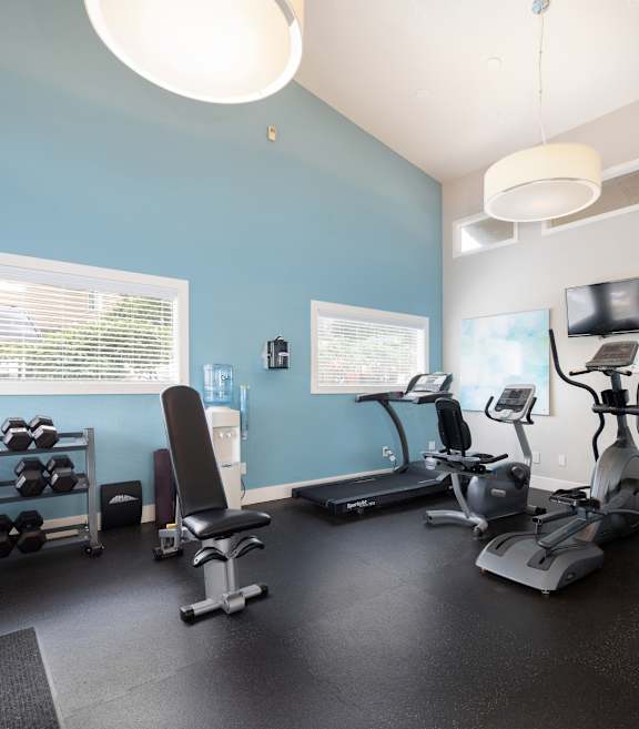 A gym with a row of dumbbells on a rack.
