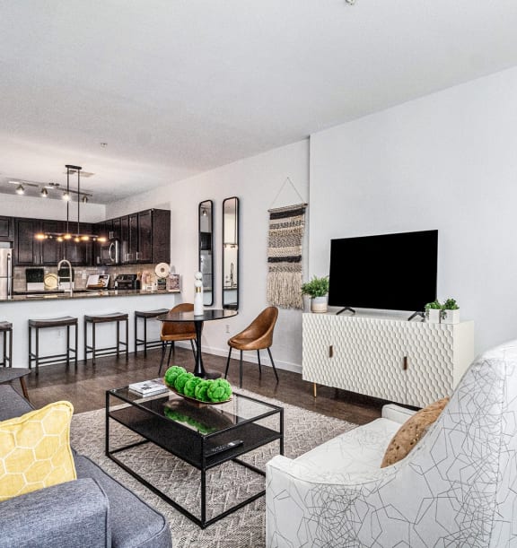 2828 Zuni Apartments in Denver, Colorado Model Living Room