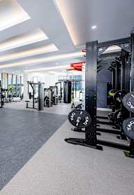 A row of treadmills in a gym with a view of the outside.
