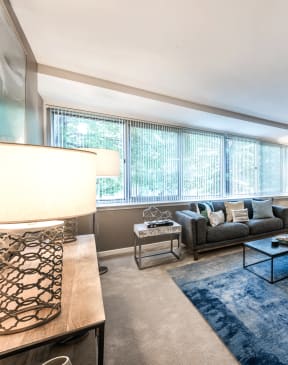 a living room with a blue rug and a couch and a table