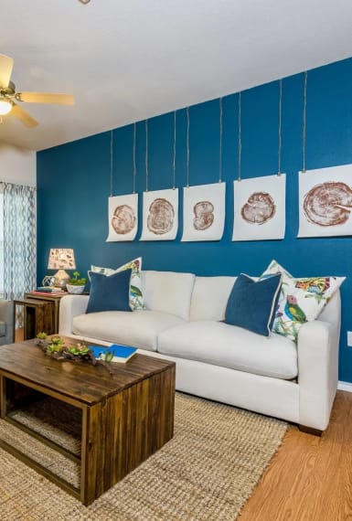 a living room with a white couch and a blue accent wall at Villa Espada Apartments, San Antonio, Texas