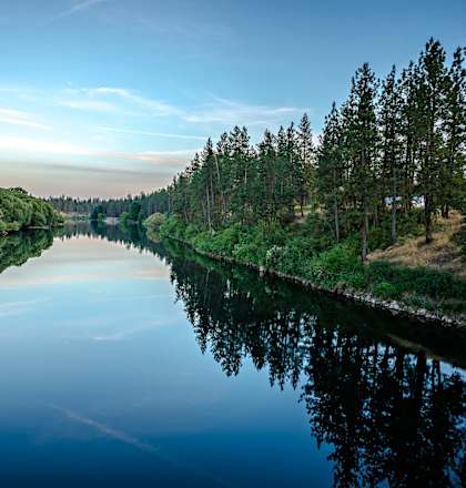 Beautiful View of Spokane River and Trees