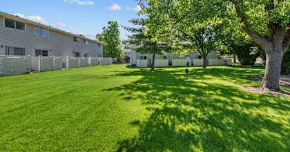 A tree stands in a grassy area in front of apartment buildings.