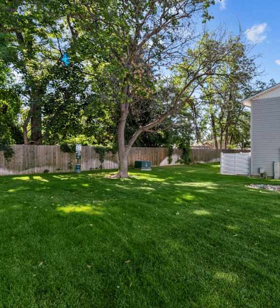 A backyard with a green lawn and a white fence.