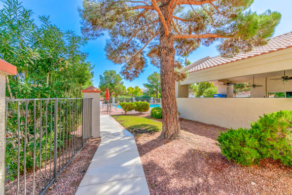 Country Club at Valley View Senior Apartments in Las Vegas offers trees and foliage throughout the community!