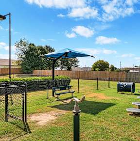 On-Premise Dog Park