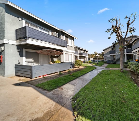 A tree stands in the middle of a grassy area between two apartment buildings.