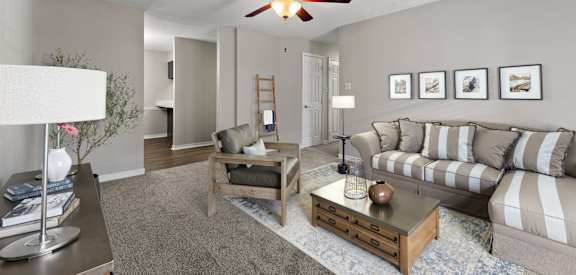 Living Room with Plush Carpeting