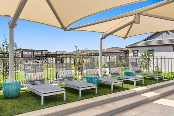 A row of sun loungers are arranged on a lawn under a large umbrella.