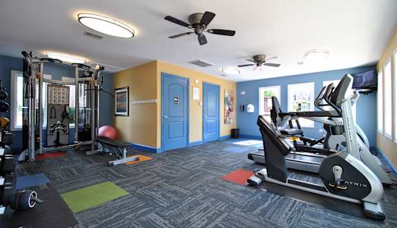 A gym with a treadmill, weights, and exercise equipment.