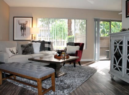 Living Room Edits at Monte Vista Apartment Homes