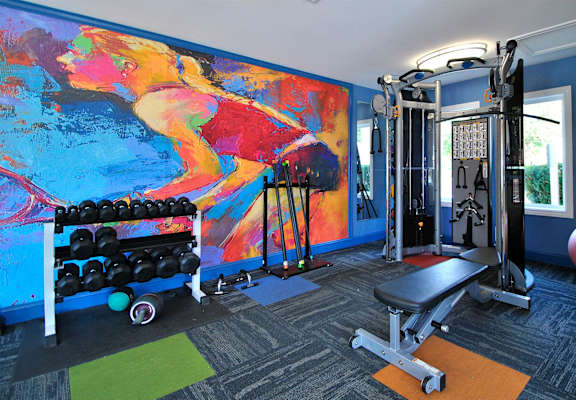 A gym with a blue wall and a bench.