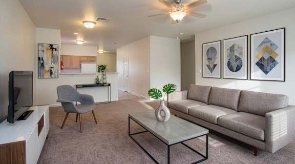 A living room with a grey couch, a grey chair, a television, and a plant.