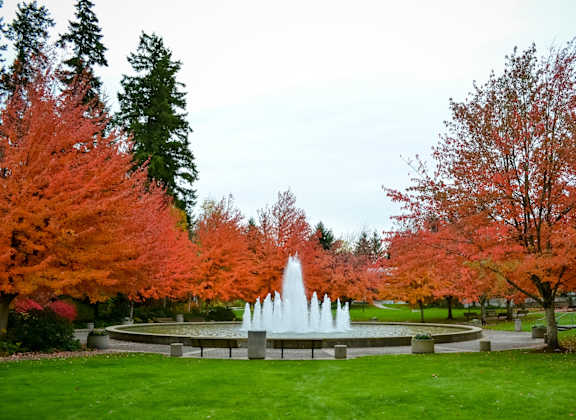 Beautiful Fountain and Park in Redmond, Washington