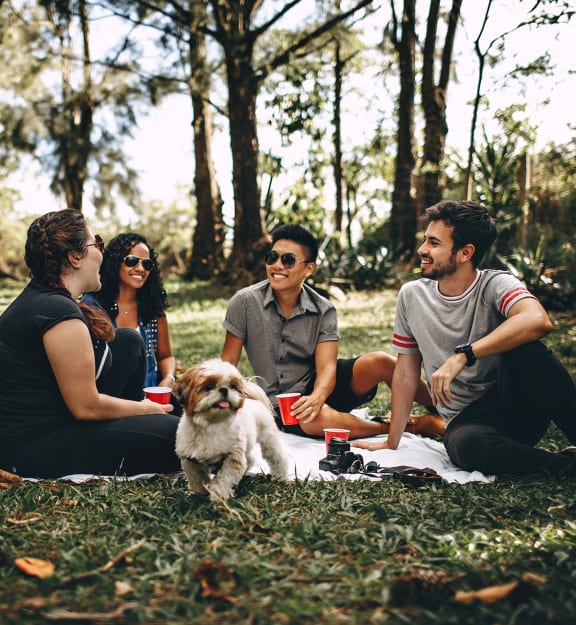 Friends Having Picnic in the Park