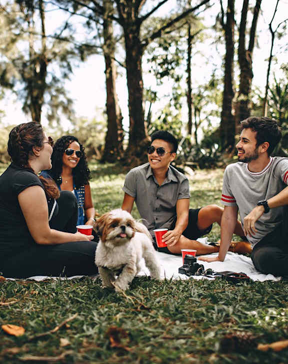 A group of people are sitting on a blanket in a park with a dog at Heritage at the River, Manchester, NH, 03102