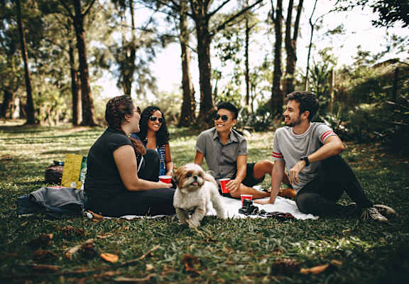 Group of people are sitting on a blanket in a park with a dog at 701 Hudson, Los Angeles, California