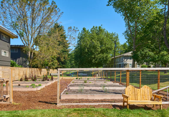 a vegetable garden in a fenced in area with a bench