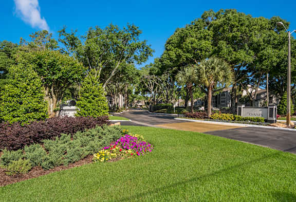 A beautifully landscaped area with a variety of trees and flowers.