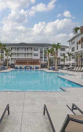 A large swimming pool surrounded by lounge chairs and palm trees.