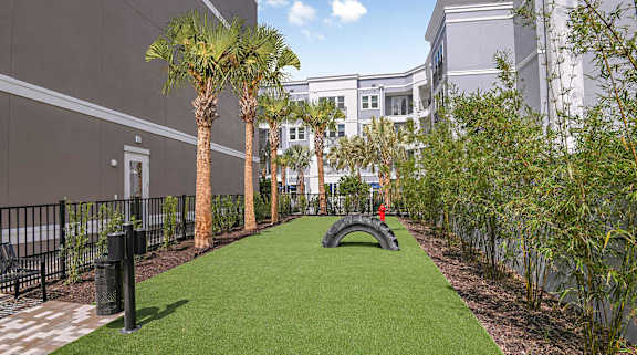 Dog Park at The Foundry NoHo Luxury Apartments in Tampa, FL