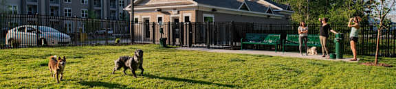 Dog park at Pointe at Lake Crabtree Apartments, Morrisville, NC