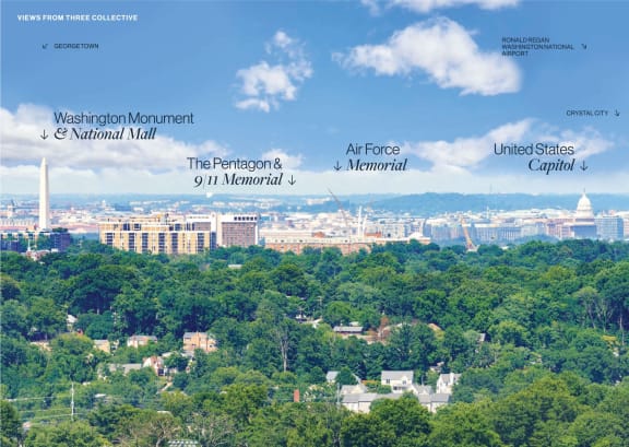 a view of the city from the top of a hill
