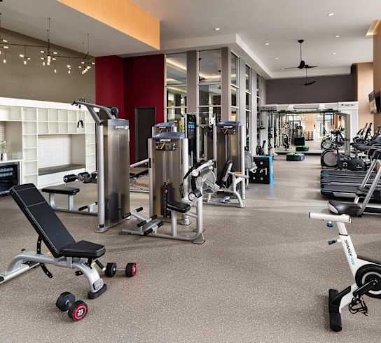 a gym with weights and cardio machines and other exercise equipment