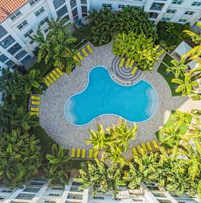 an aerial view of a pool in an apartment building with palm trees