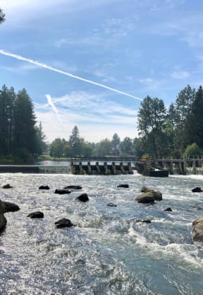 Beautiful View of Bridge Over Flowing River and Rocks Surrounded by Trees